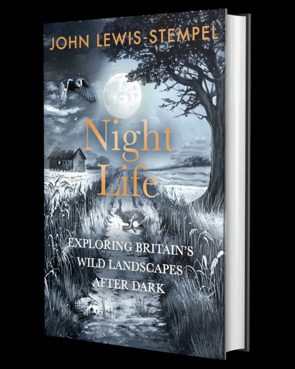 Night Life: Walking Britain’s wild landscapes after dark