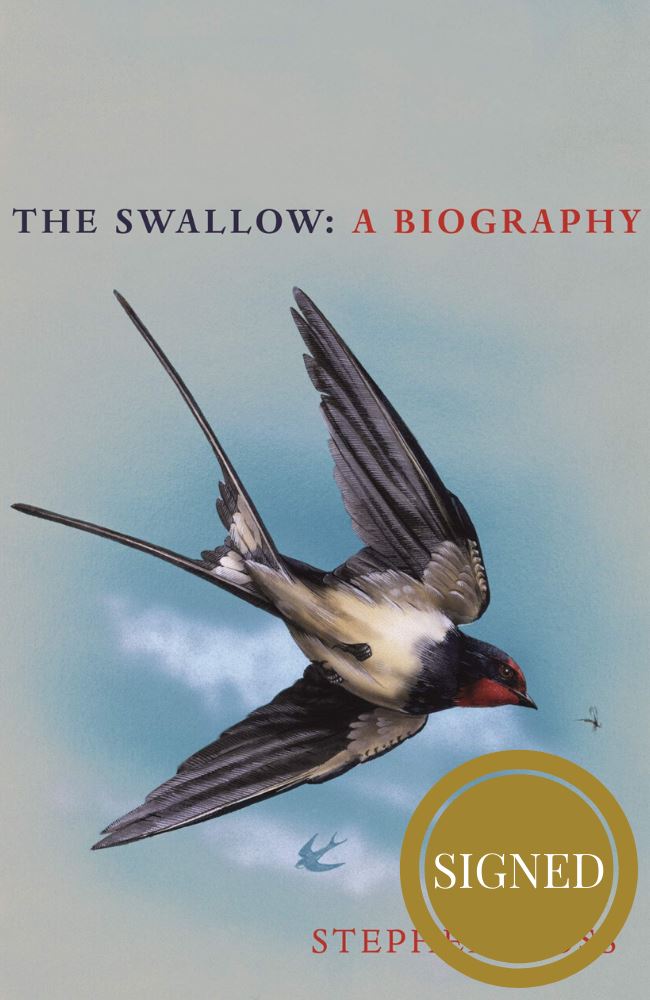 The Swallow