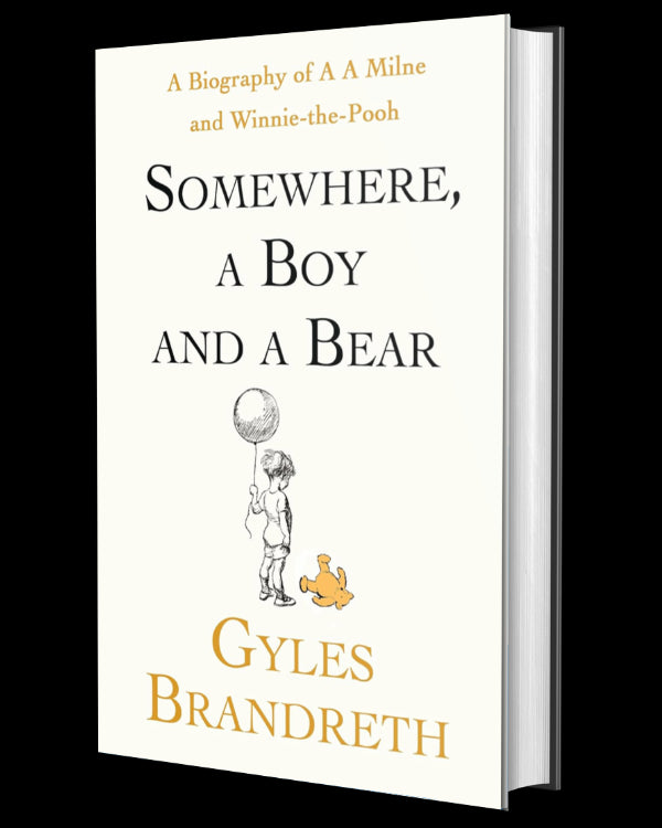 Somewhere, A Boy And A Bear