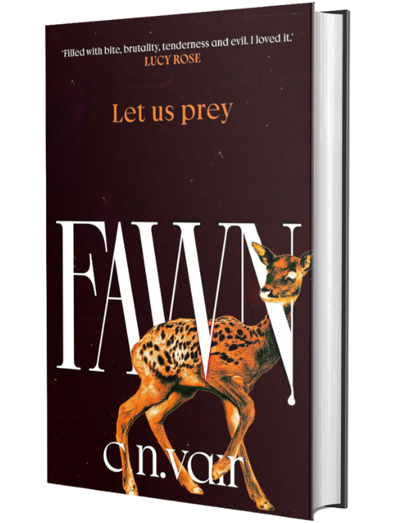 Fawn