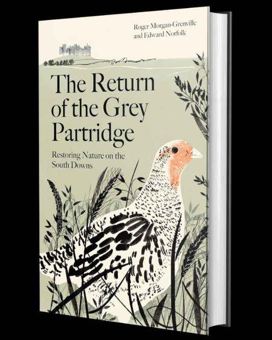 The Return of the Grey Partridge