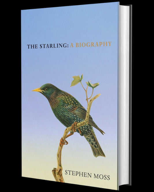 The Starling