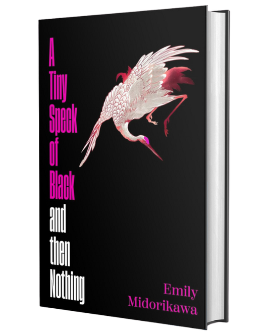 A Tiny Speck of Black and Then Nothing