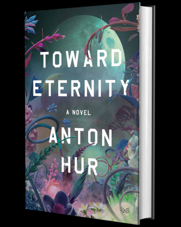 Toward Eternity: A Novel