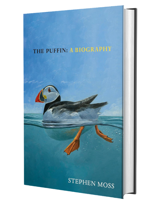 The Puffin