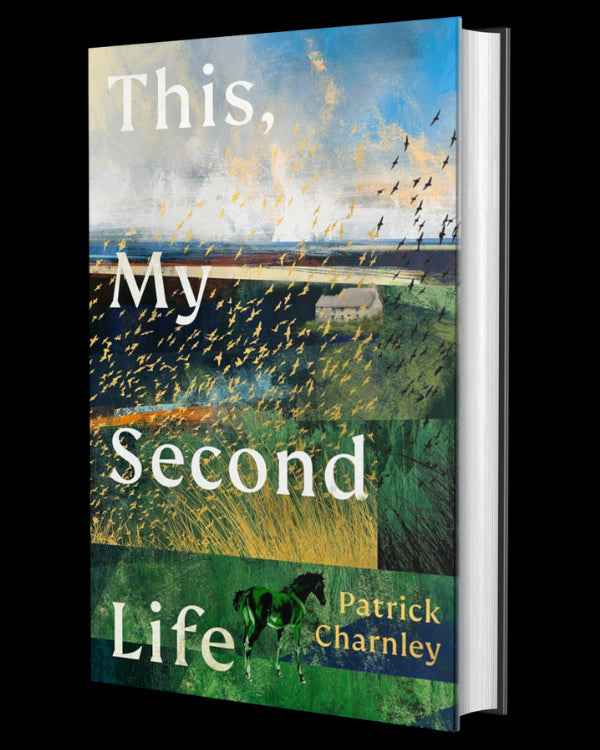 This, My Second Life